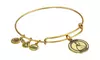 Alex and Ani Block Island Bracelet Rhode Island