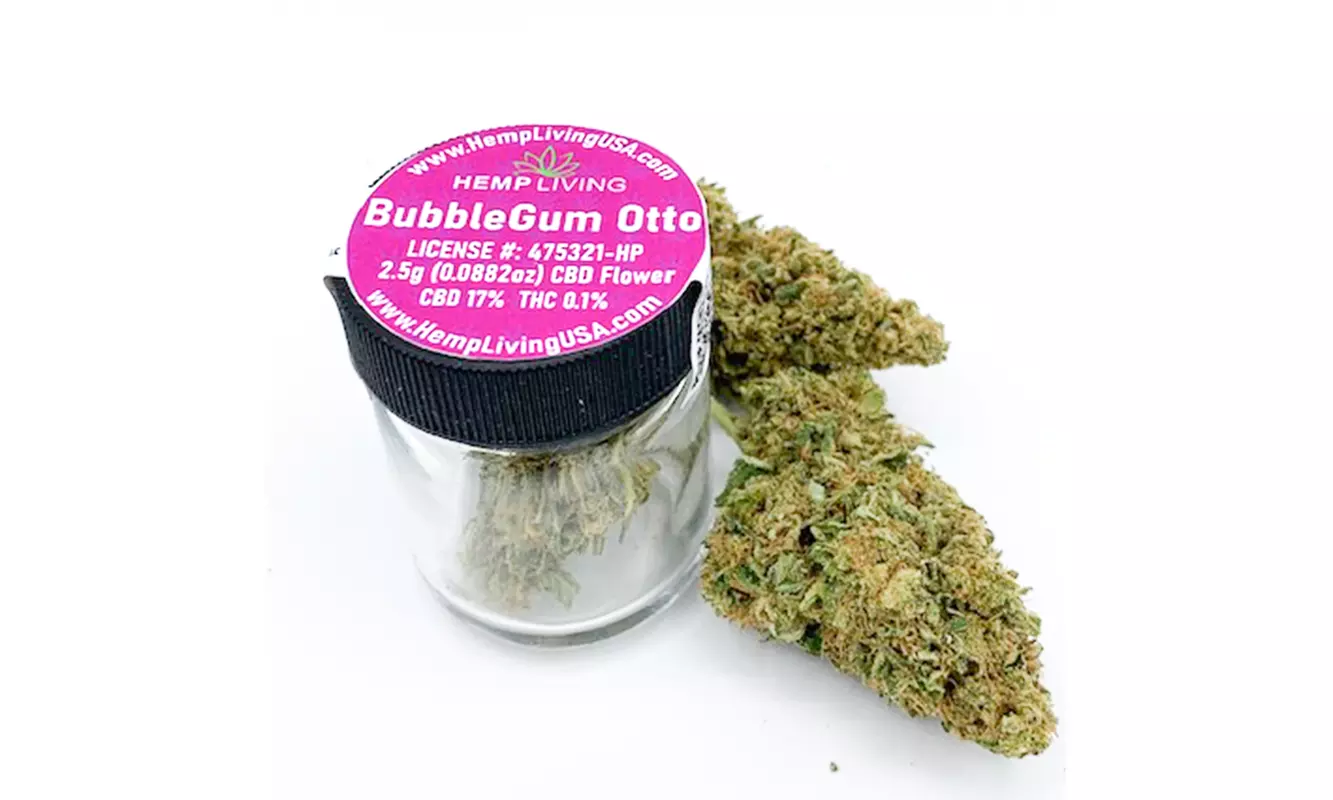 Hemp Living CBD Buds - Bubblegum Otto 17% CBD - Primary Image
