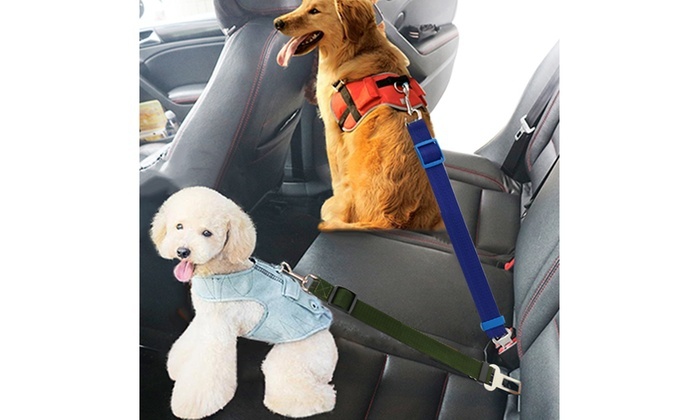 Up To 53% Off on Dog or Cat Vehicle Seat Belt ... | Groupon Goods