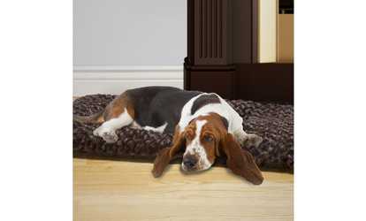 PETMAKER X-Large Cushion Pillow Pet Bed - Chocolate