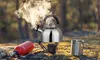 NewHome 2.1QT Stainless Steel Whistling Kettle Fast Boil Stovetop and Campfire