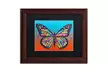 Dean Russo 'Butterfly' Matted Wood Framed Art - Second Medium