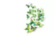 12 Pcs 3D Butterfly Art Decal Home Decor PVC Butterflies Wall Sticker - Second Medium