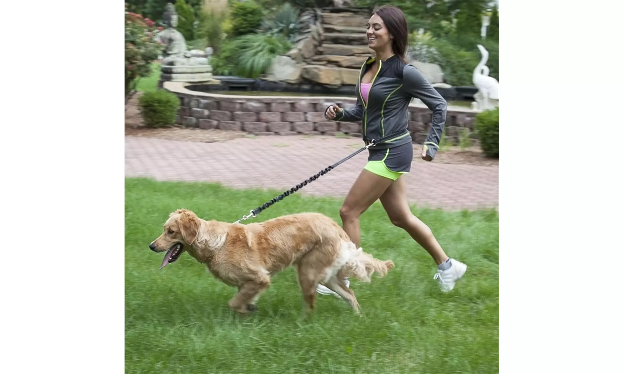 Hands-Free Running Dog Leash - Primary Image