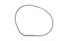 30 in. A Tank O-Ring
