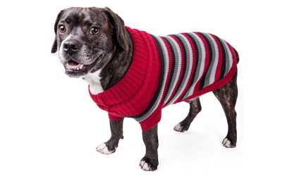 Polo-Casual Lounge Cable Knit Designer Turtle Neck Dog Sweater