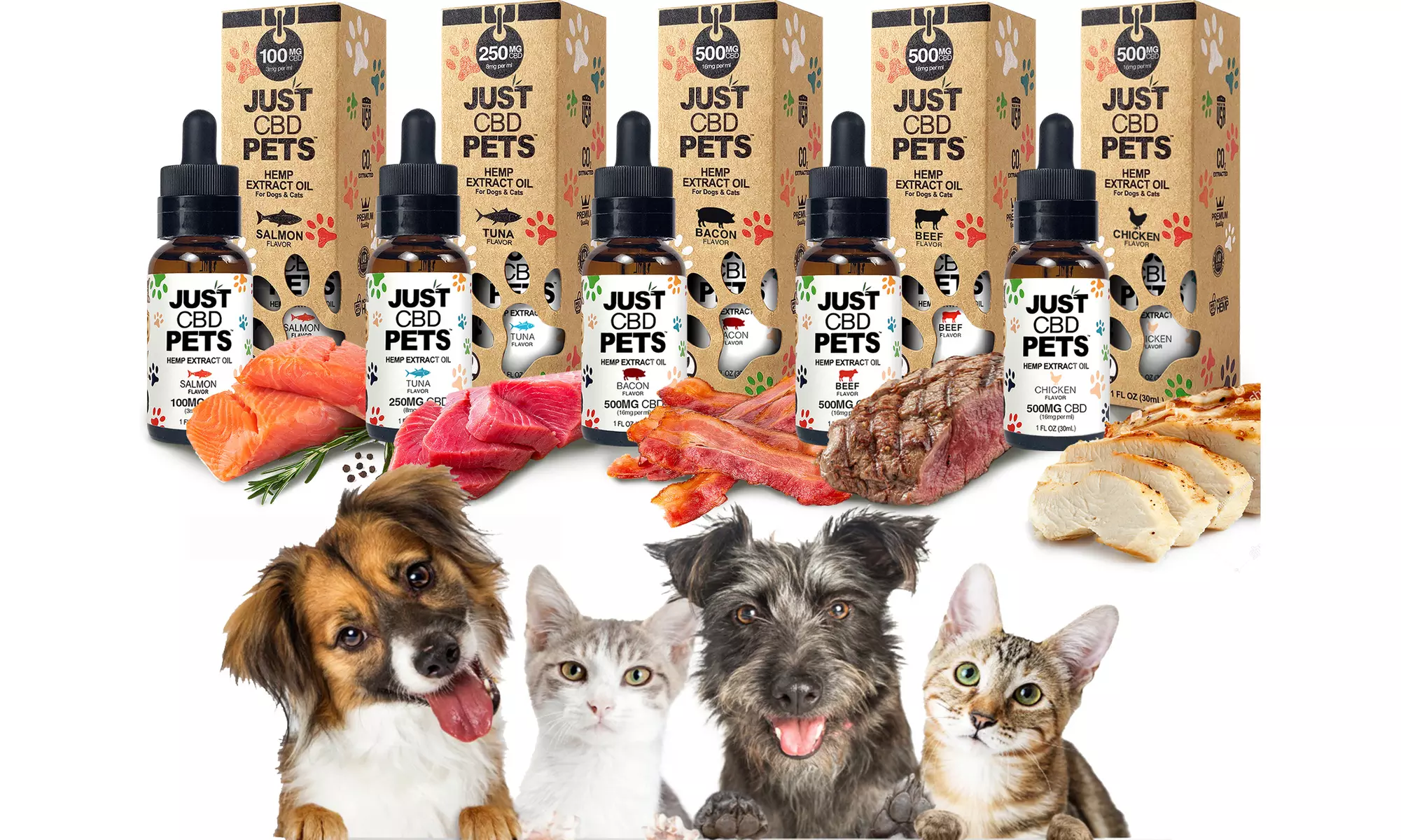 CBD Pet Tinctures from JustCBD (100mg, 250mg or 500mg) - Primary Image