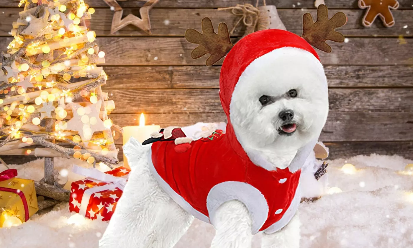 Pet Christmas Costume with Santa Claus and Reindeer Antlers for Dogs and Cats