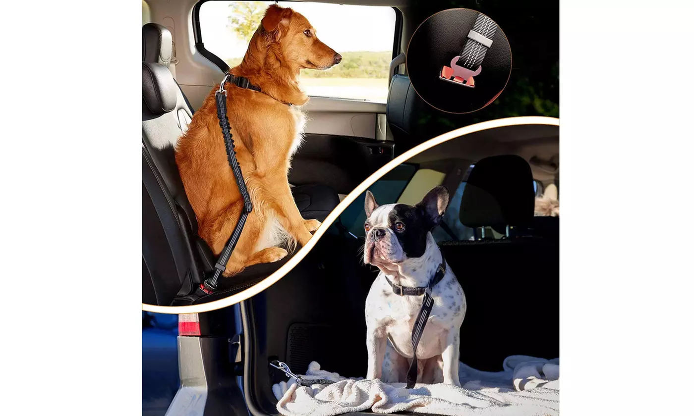 Heavy Duty Dog Safety Car Seat Belts