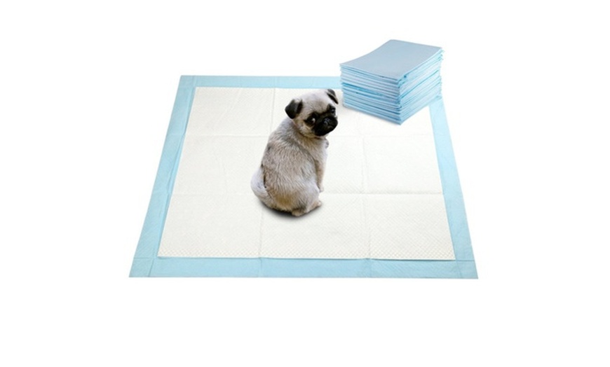 Super Absorbent Pet Training Puppy Pads | Groupon