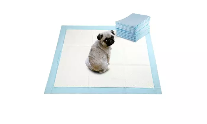 Super Absorbent Pet Training Puppy Pads - Primary Image