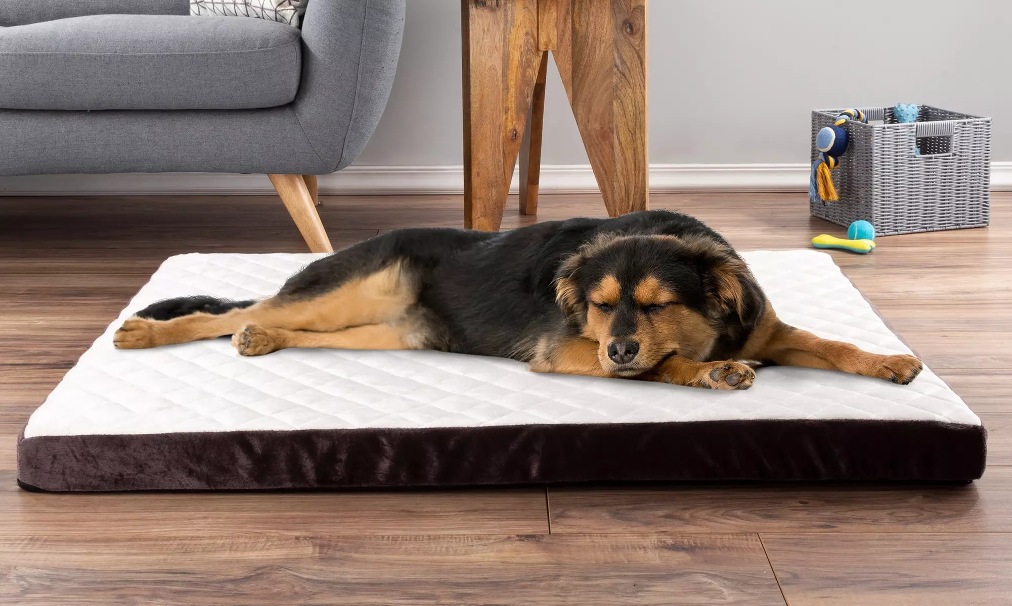 Petmaker Bamboo Charcoal Infused Foam Orthopedic Pet Bed - Primary Image