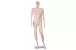 Costway Male Mannequin Plastic Realistic Display Dress Form - Second Medium