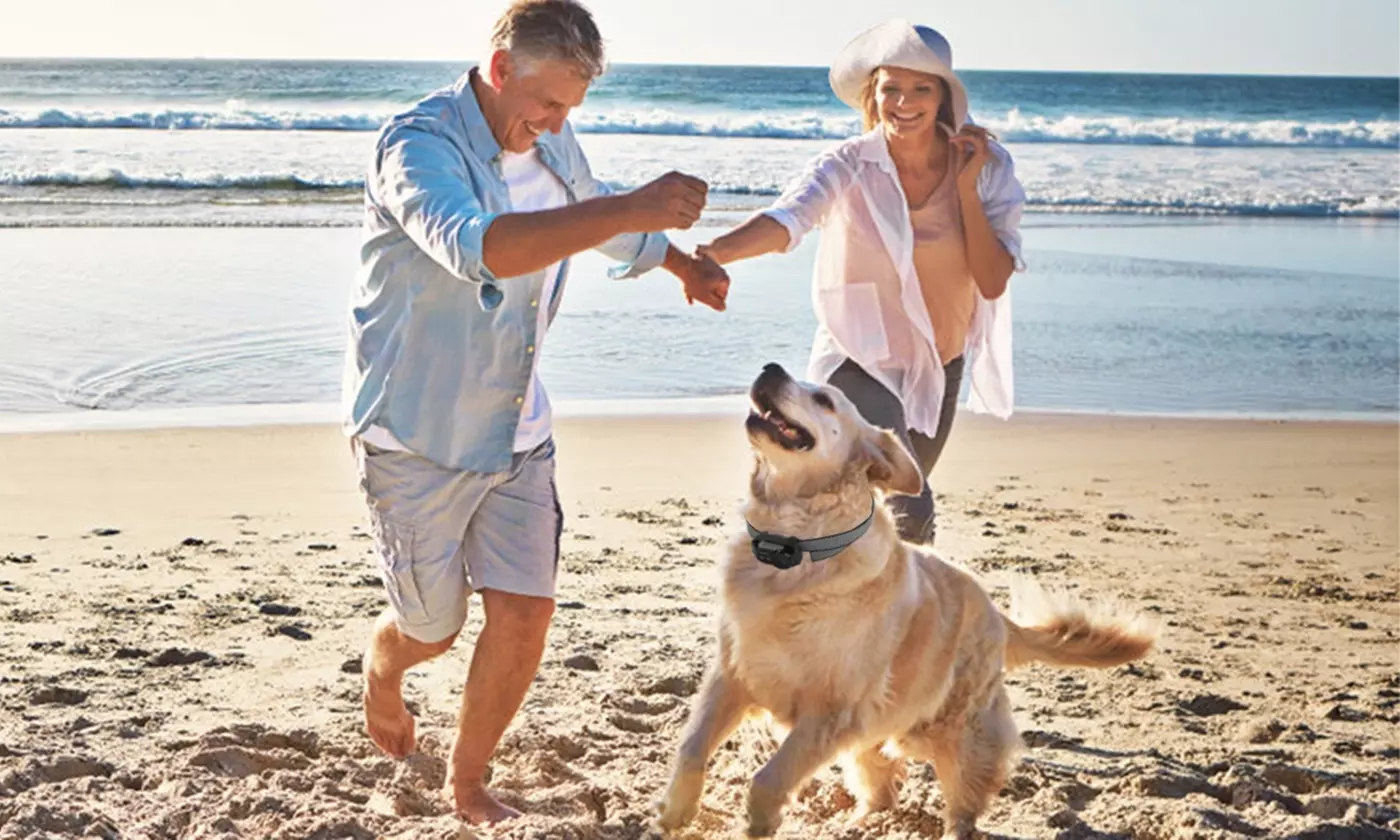 iMounTEK Dog Training Smart Bark Collar with Shock, Vibration, and Beep