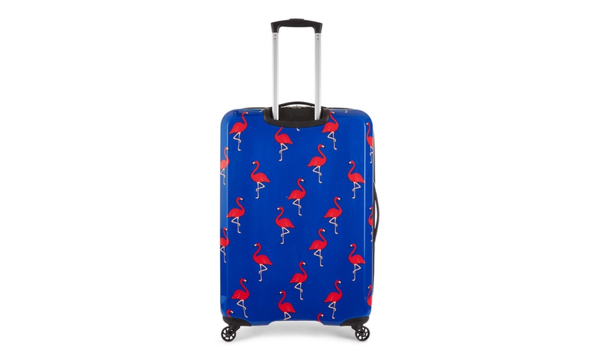 Revelation flamingo sales suitcase