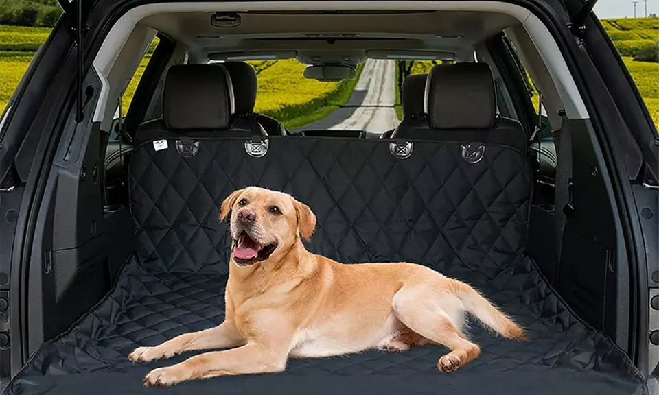 Rear Seat Travel Cover Protector For Pets