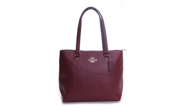 Bay discount tote coach