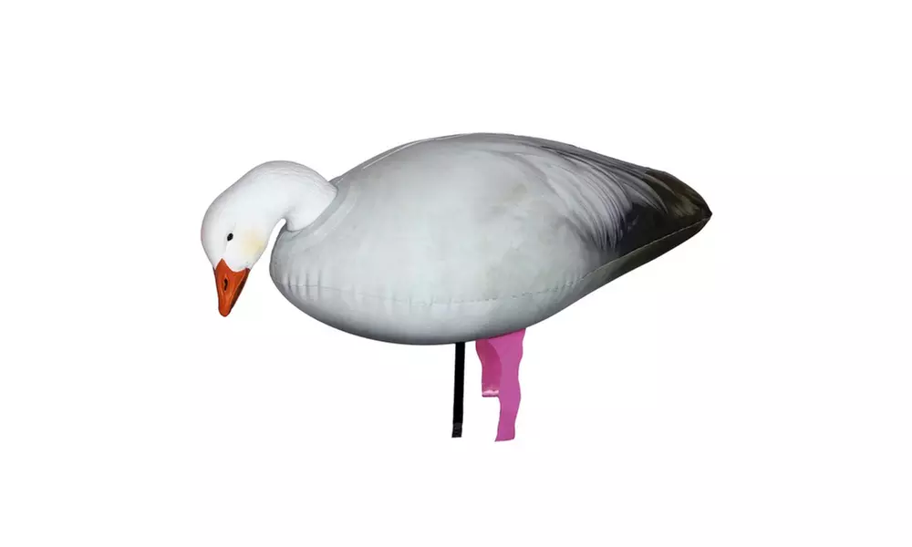 Cherokee Sports Full Bodied Snow/Blue Goose Decoys 6 Pack - Primary Image