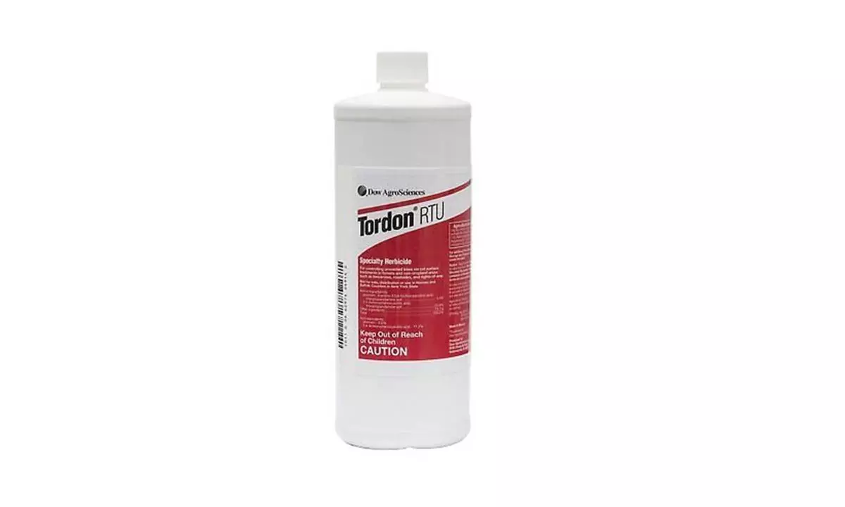 Weed Control Tordon RTU Picloram Herbicide Tree Stump Killer - Primary Image