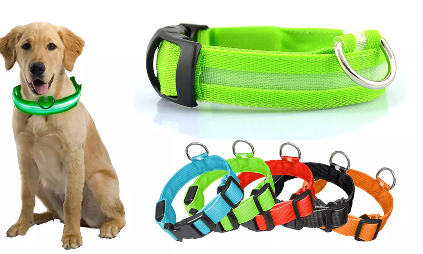 Safety LED Dog Collar USB Rechargeable with Water Resistant Glowing Light - Primary Image