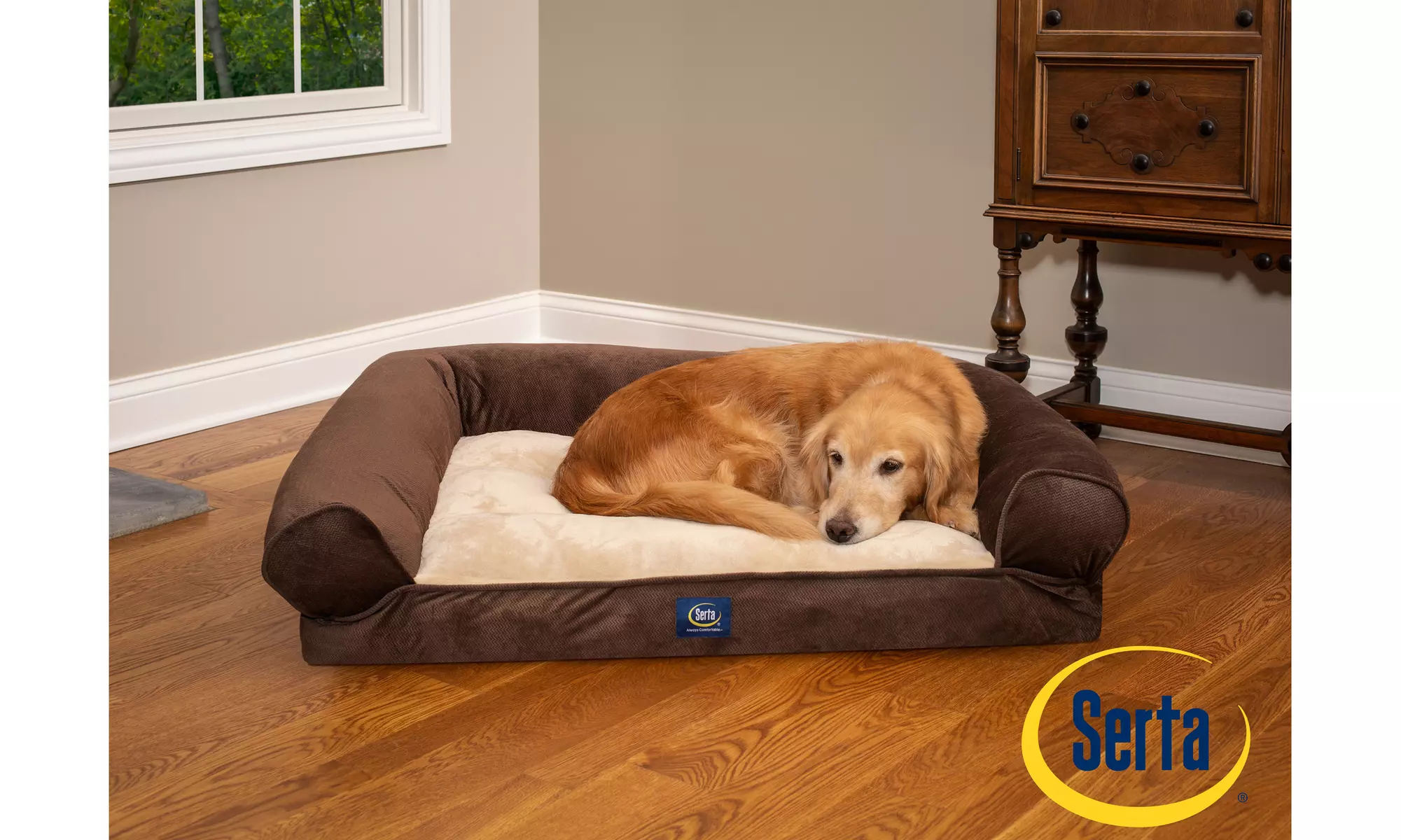 Serta Extra Plush Bolster Dog Bed - Primary Image