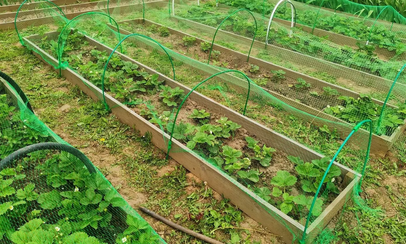 iMounTEK 13' x 33' Anti-Bird Garden Netting Protective Barrier Net for Plants
