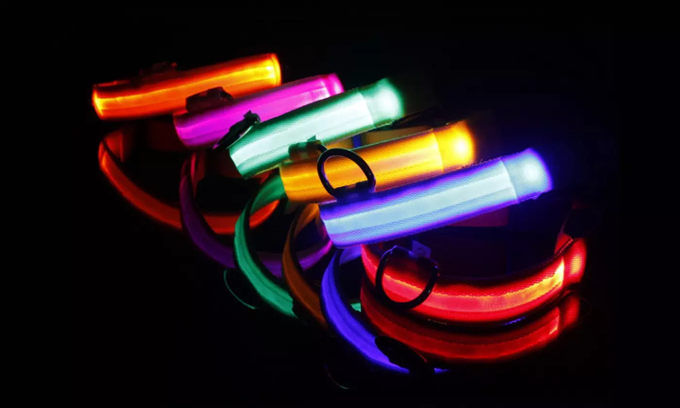 SAFETY LED Dog Pet Light Up Collar Night Glow Adjustable Bright 5 Color Leash
