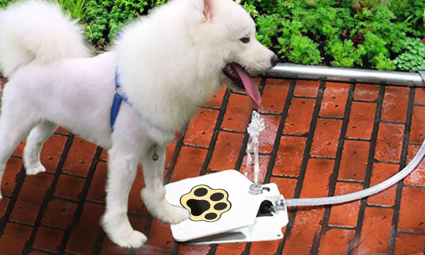 iMounTEK Outdoor Step-On Dog Water Fountain Pet Water Dispenser