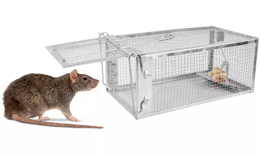 Humane Steel Animal Trap - Primary Image