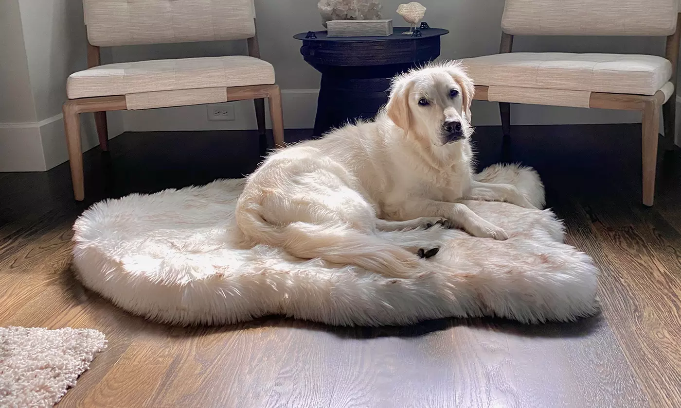 PupRug Faux Fur Orthopedic Dog Bed - Curve - Primary Image