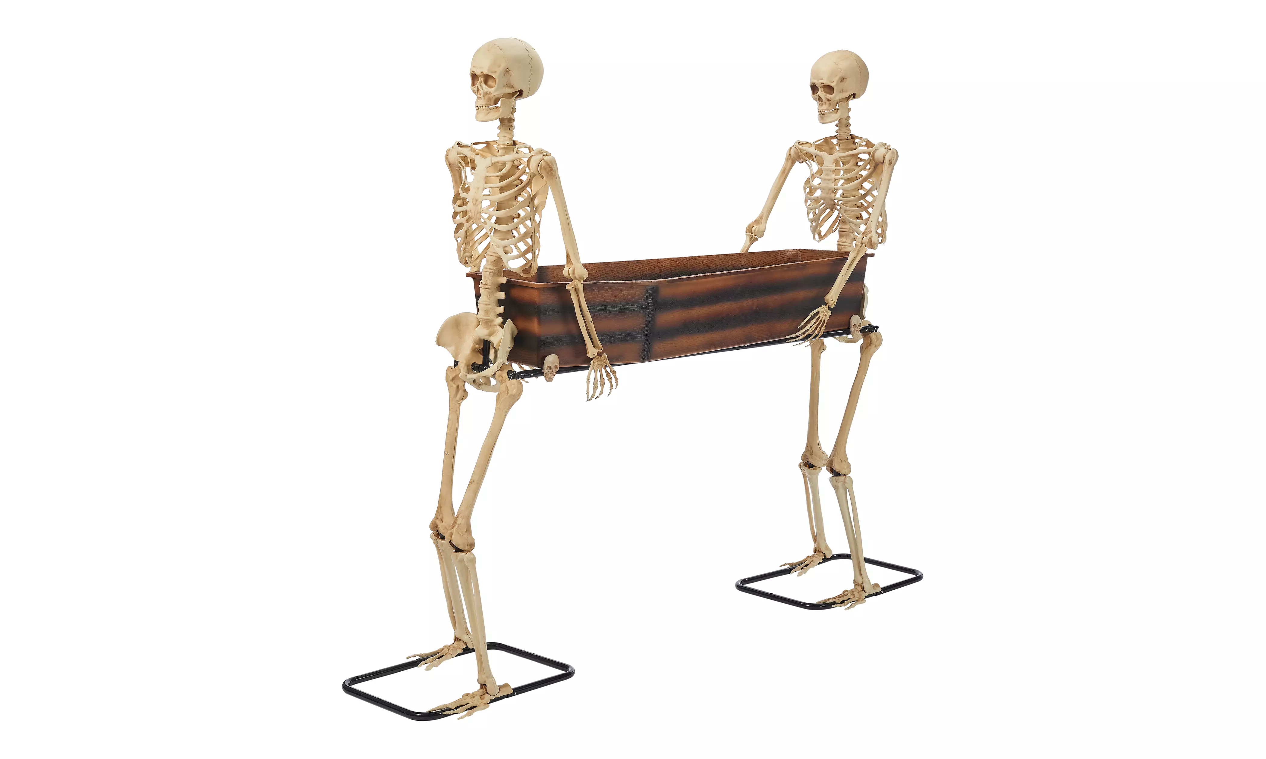 Halloween skeleton coffin cooler shops decor