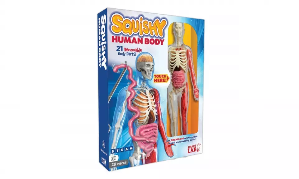  SmartLab Toys Squishy Human Body, Multicolor, Standard  - Second Medium