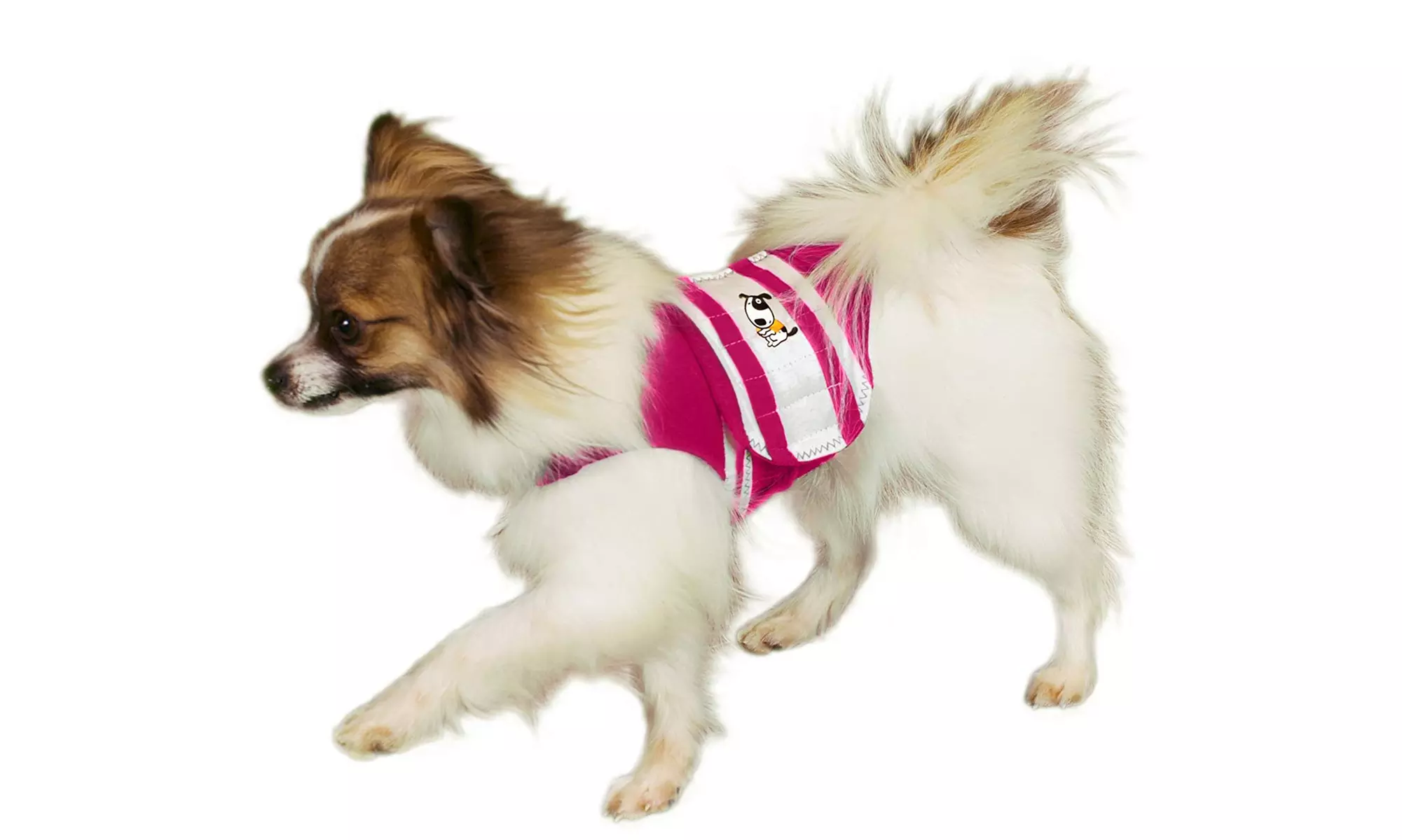 ThunderShirt Rugby Dog Anxiety Jacket - Primary Image