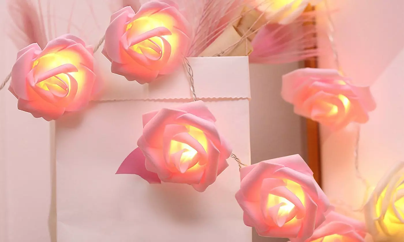  iMounTEK 40-LED Rose String Lights Romantic Valentines Day Decor (2-Pack)
