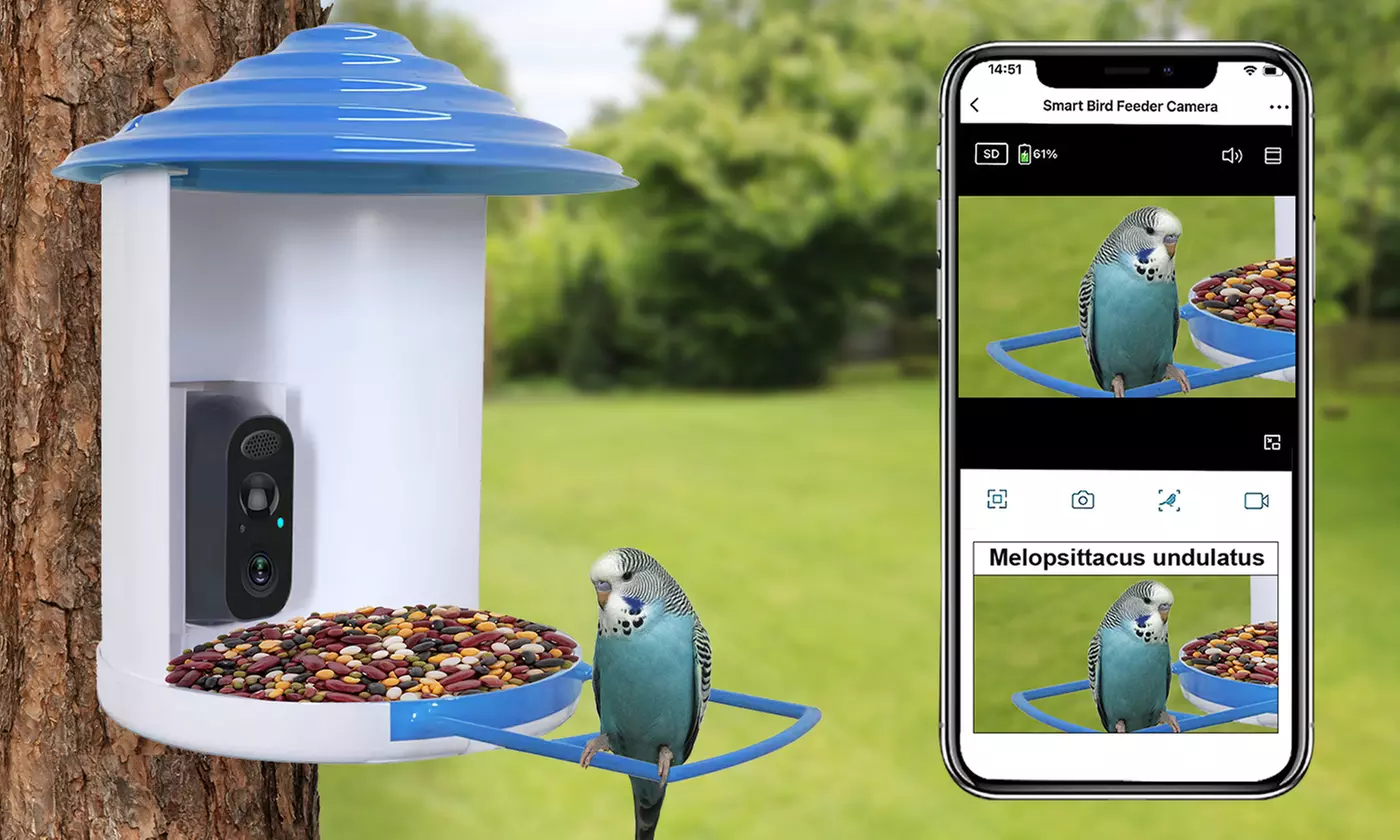 iMounTEK Smart Bird Feeder with Camera - 1080P HD Video