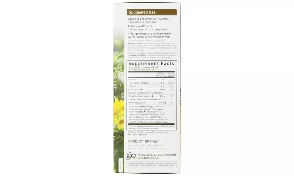 Gaia Herbs Bronchial Wellness Herbal Syrup - Primary Image