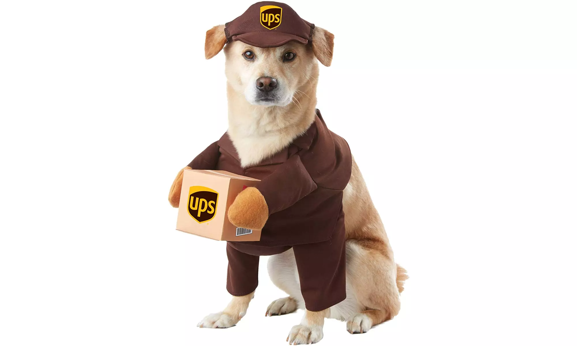 Morris Costumes CC20151MD Pet UPS Pal - Medium - Primary Image