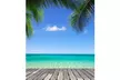 Vinyl Summer Blue Sky Beach Coco Photography Backdrop Background Studio Prop - Second Medium