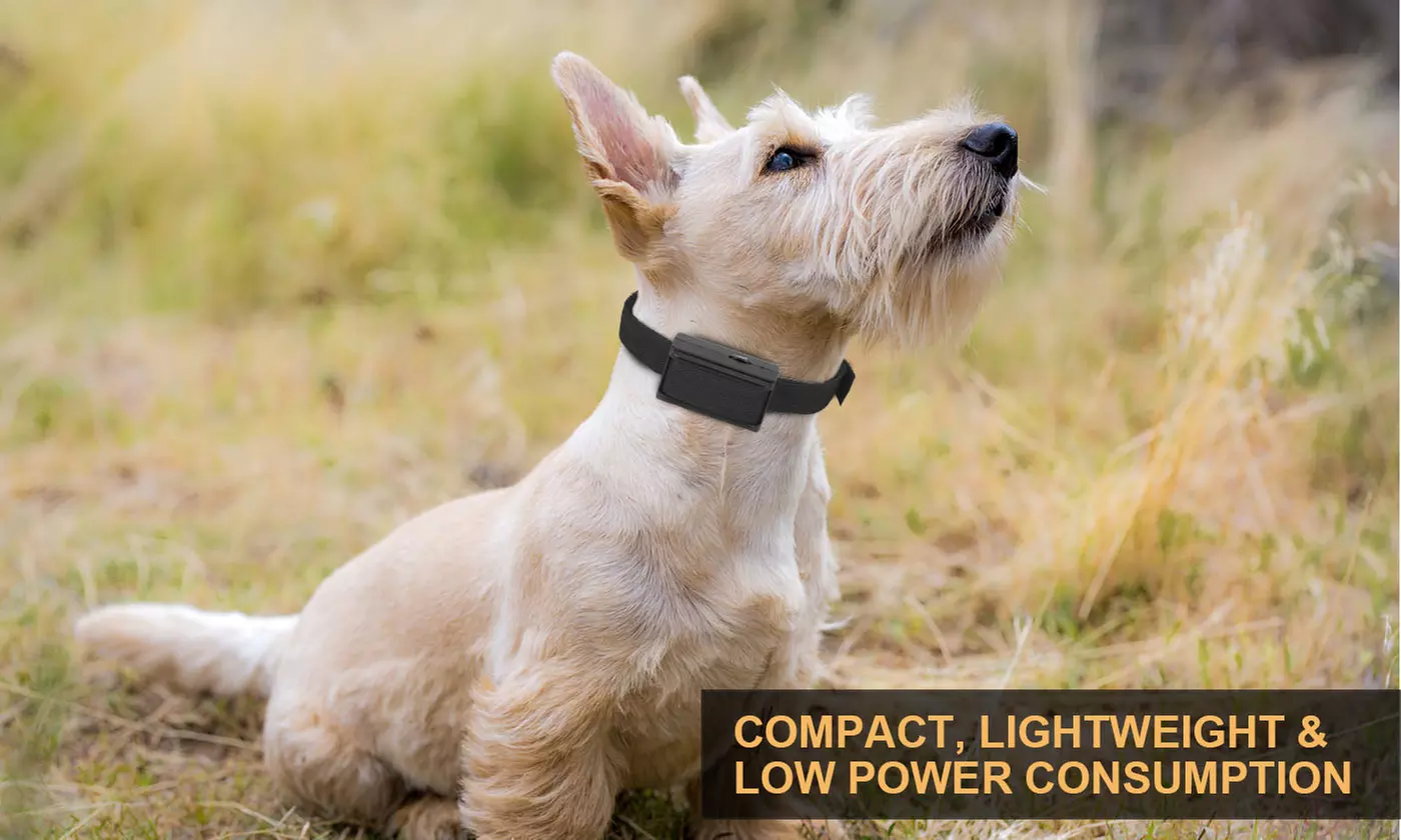 Smart Dog Bark Collar Waterproof Anti Barking Automatic Dog Training Collar