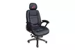 Wild Sports 901 MLB Office Chair - Second Medium
