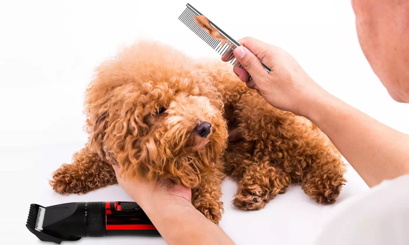 PetLuv Electric Cordless Low Noise Dog Grooming Hair Clippers Pet Grooming Kit