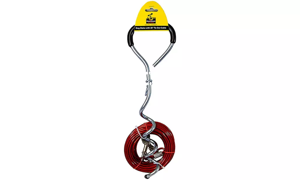 Heavy Duty Dog Tie Out Stake by Downtown Pet Supply - Primary Image