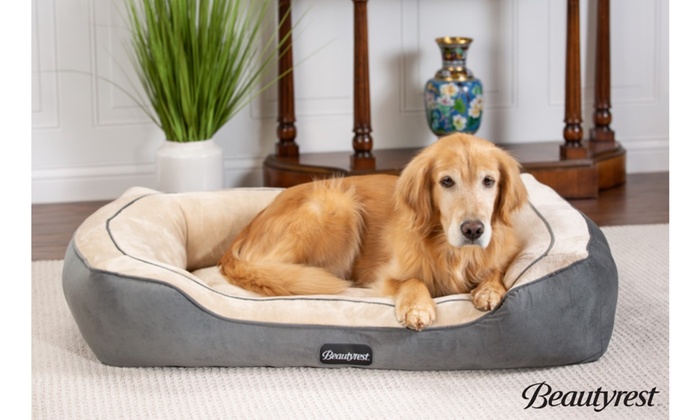 beautyrest ultra plush cuddler dog bed