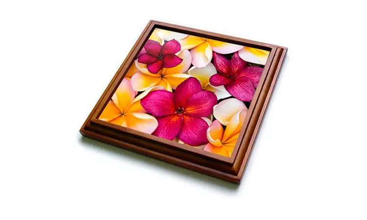  Trivet with TileUSA Hawaii Maui Colorful grouping of Plumeria flowers - Primary Image
