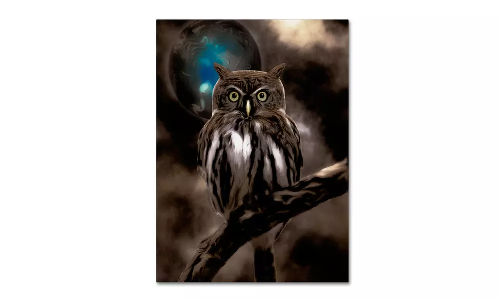 Color Bakery 'Night Owl' Canvas Art - Primary Image