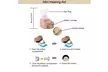 2 x Small In Ear Hearing Aids Adjustable Tone Invisible Best Sound Amplifier Aid - Second Medium