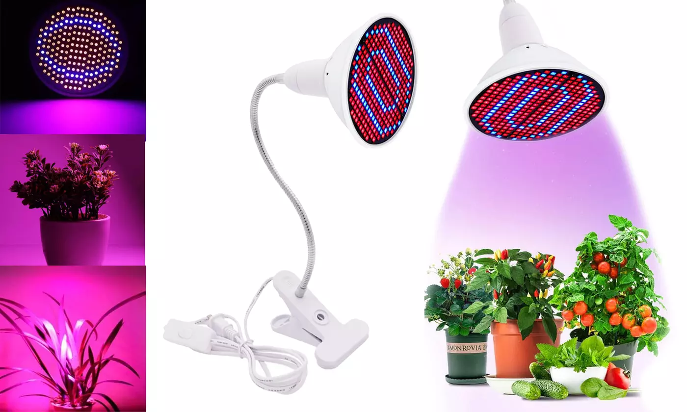 200 LEDs Full Spectrum Grow Light Red Blue LED Plant Lights Bulb