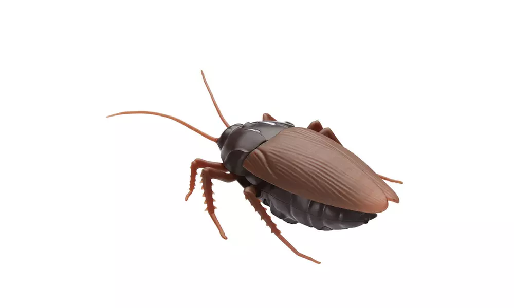Remote Control Realistic Mock Fake Cockroach RC Toys Prank Funny Insects Roach - Primary Image