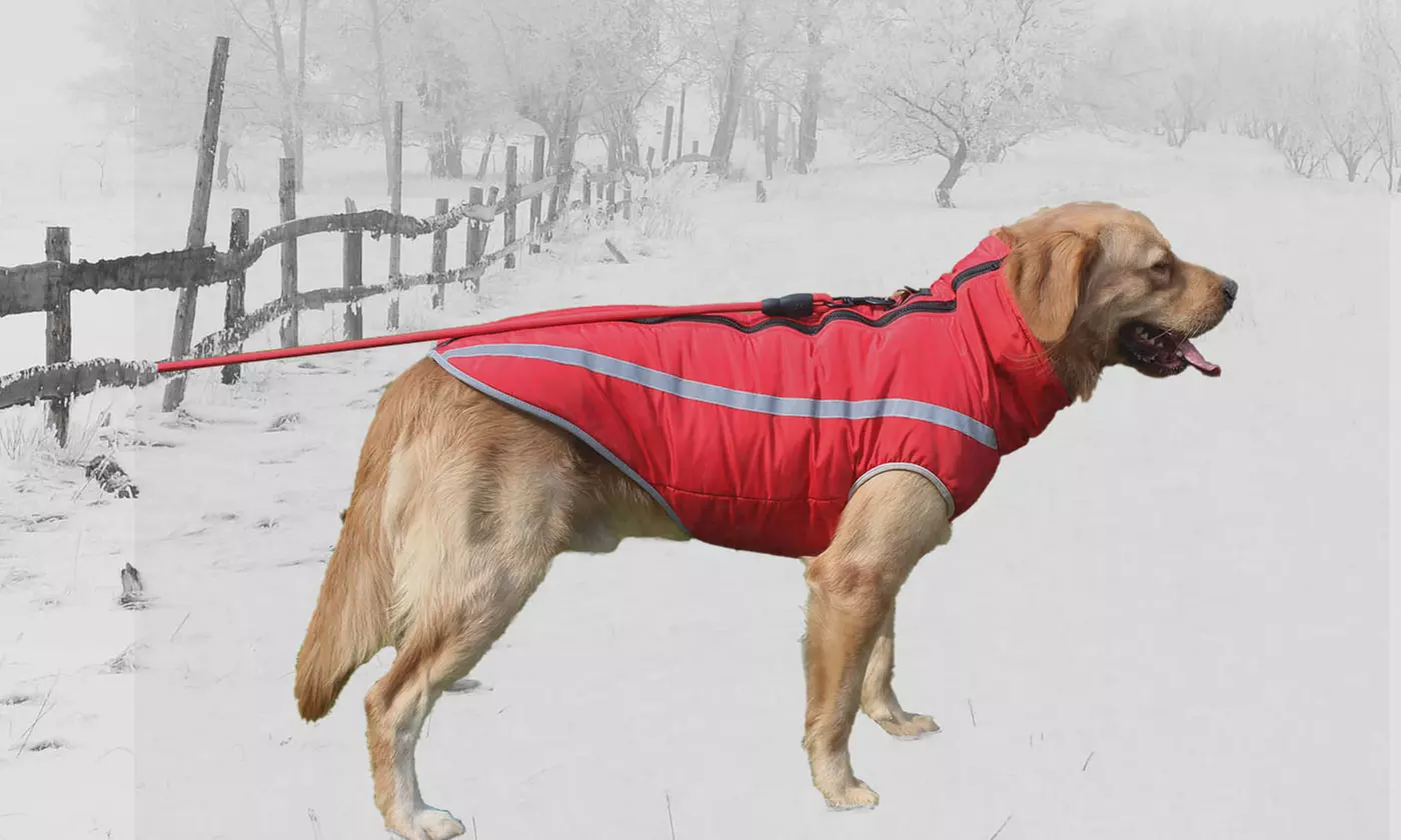 Waterproof Soft Fleece Lined Dog Vest Jacket Coat for Winter Outdoor Sports