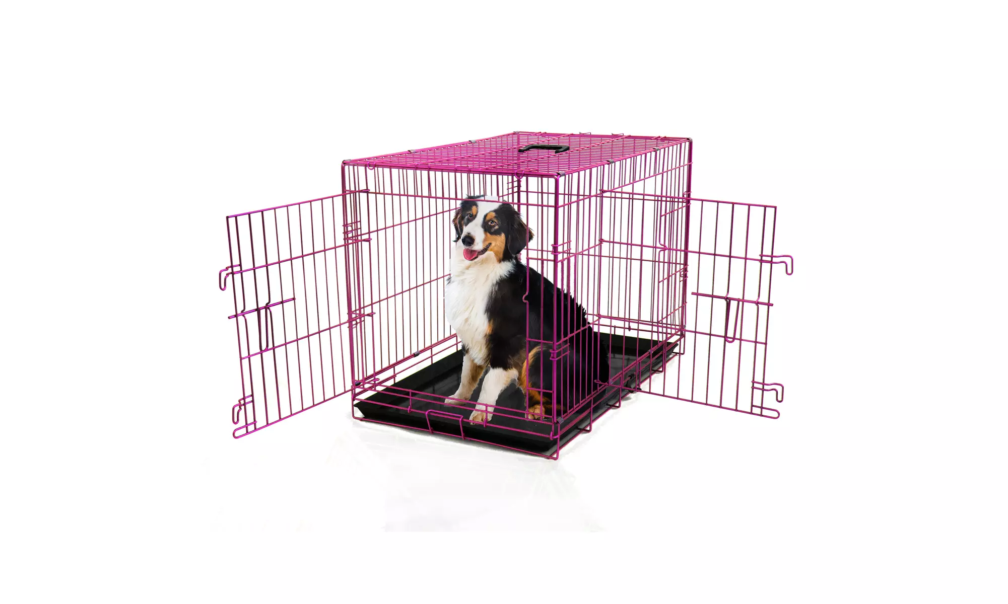 36 Inch Colored Double Door Dog Crate - Available in Blue, Pink and Green - Primary Image